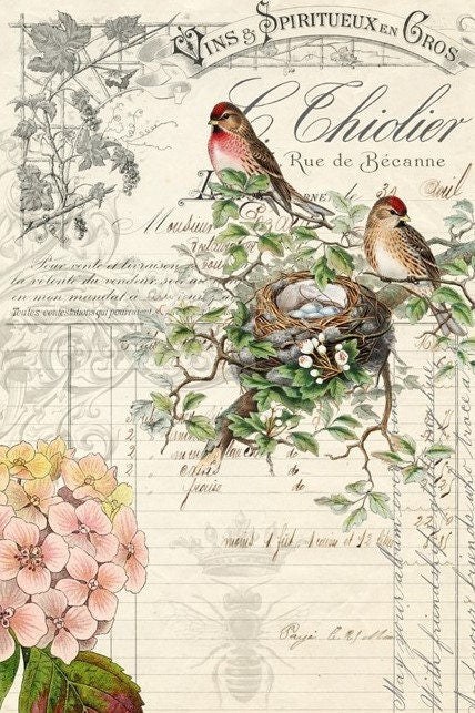 Bird Ephemera | Roycycled Decoupage Paper | Roycycled Treasures | Decoupage