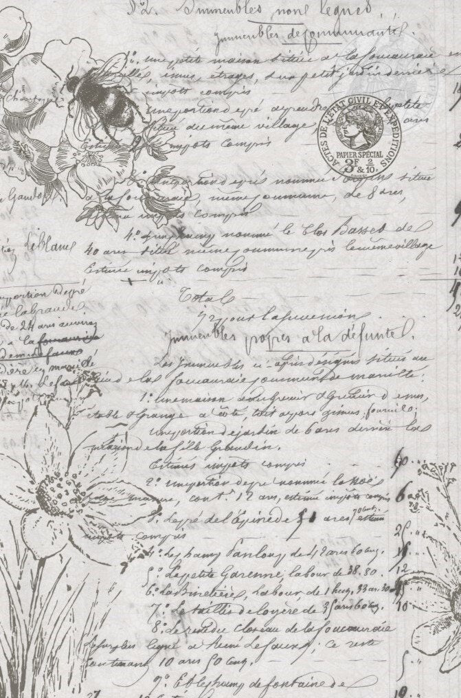Natural History | Roycycled Decoupage Paper | Roycycled Treasures
