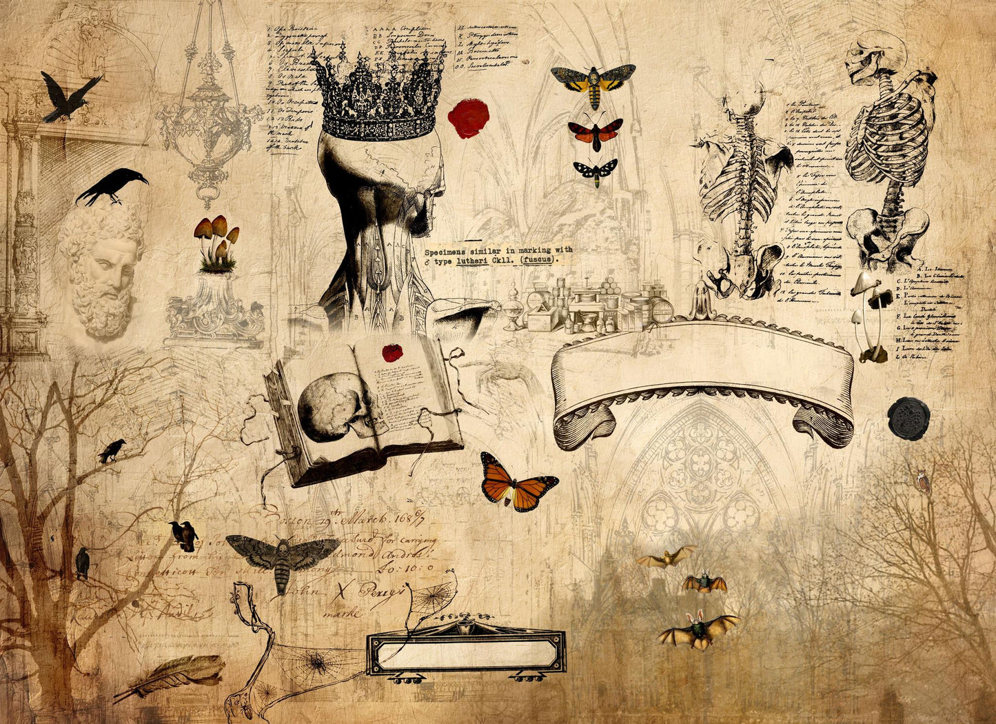 Dark Academia Masterboard | Roycycled Decoupage Paper | Roycycled Treasures