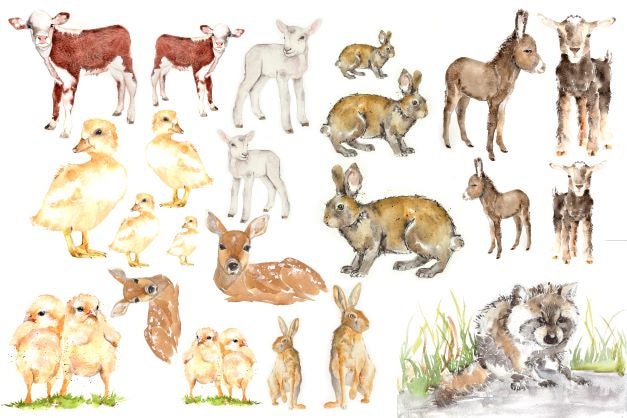 Baby Animals | Roycycled Decoupage Paper | Roycycled Treasures