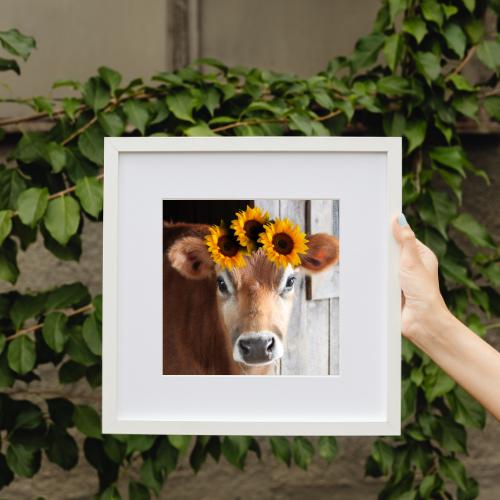 Jersey Cow Digital Download  sheet | Jersey Cow Busted Canva printout