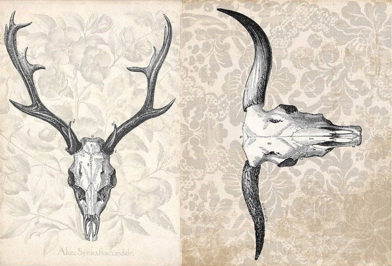 Antler Project Blocks | Roycycled Decoupage Paper | Roycycled Treasures