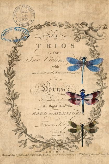 Dragonfly | Roycycled Decoupage Paper | Roycycled Treasures